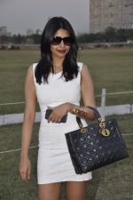 at ARC VS Argentina polo cup in RWITC, Mumbai on 21st March 2014